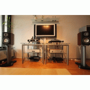   Monitor Audio Platinum PL 100 Rosewood:  3