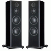   Monitor Audio Platinum PL 300 Ebony:  2