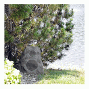   Klipsch All Weather AWR 650 SM Rock-Granite:  3