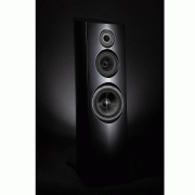   Davis Acoustics Stellar Black Piano:  6