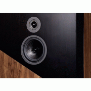   Davis Acoustics The Wall Walnut:  5