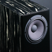   Davis Acoustics MV One Master Ebony:  6