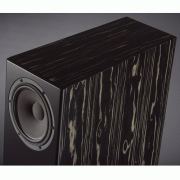   Davis Acoustics MV One Master Ebony:  7