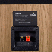   Davis Acoustics Ariane A Light Oak:  5