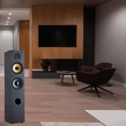   Davis Acoustics Ariane 5 Black:  6