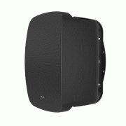   Klipsch All Weather RSM-650 Black:  2