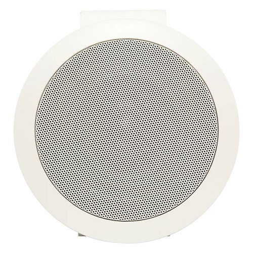   Davis Acoustics 100 RO (Davis Acoustics)