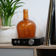   Octavio Amplifier:  6