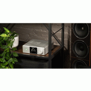   Rotel DX-5 Silver:  6