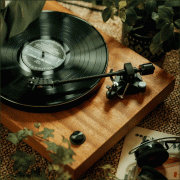   Argon Audio TT-4 MK2 Walnut:  8