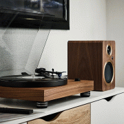   Argon Audio TT-4 MK2 Mahogany:  7