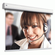  Adeo Screen Professional Vision White 263x197, 4:3