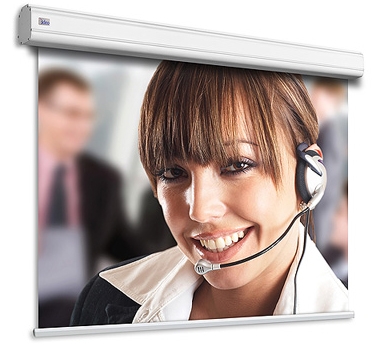 Adeo Screen Professional Vision White 263x197, 4:3