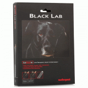   AUDIOQUEST Black Lab 5 :  4