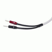    CHORD C-screenX CUSTOM Speaker Cable 2.5 m pair:  2