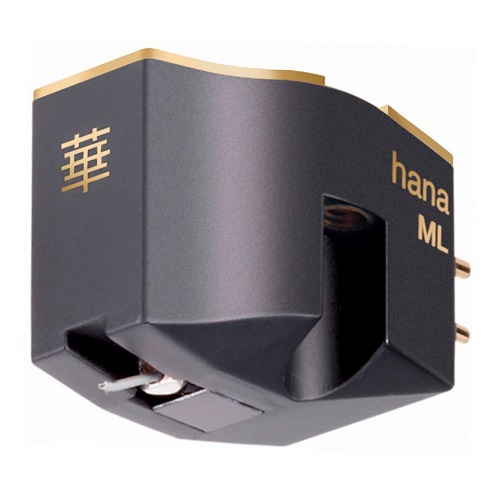  Hana ML (HANA)