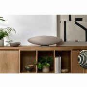   Bowers & Wilkins Zeppelin Pro Edition Solar Gold:  7