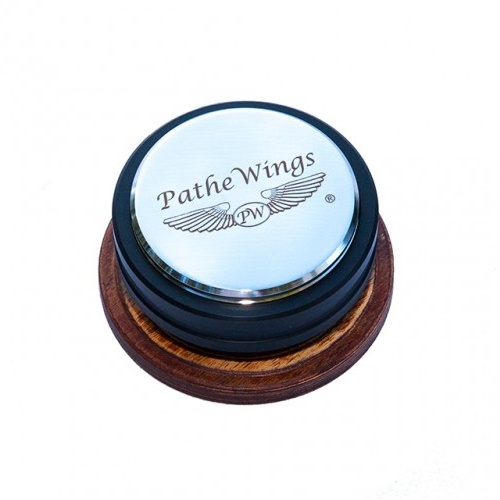  PatheWings PW-Fusion 470 (PatheWings)