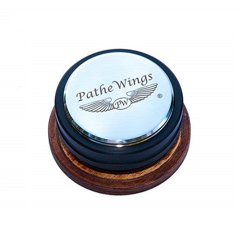  PatheWings PW-Fusion 290 (PatheWings)